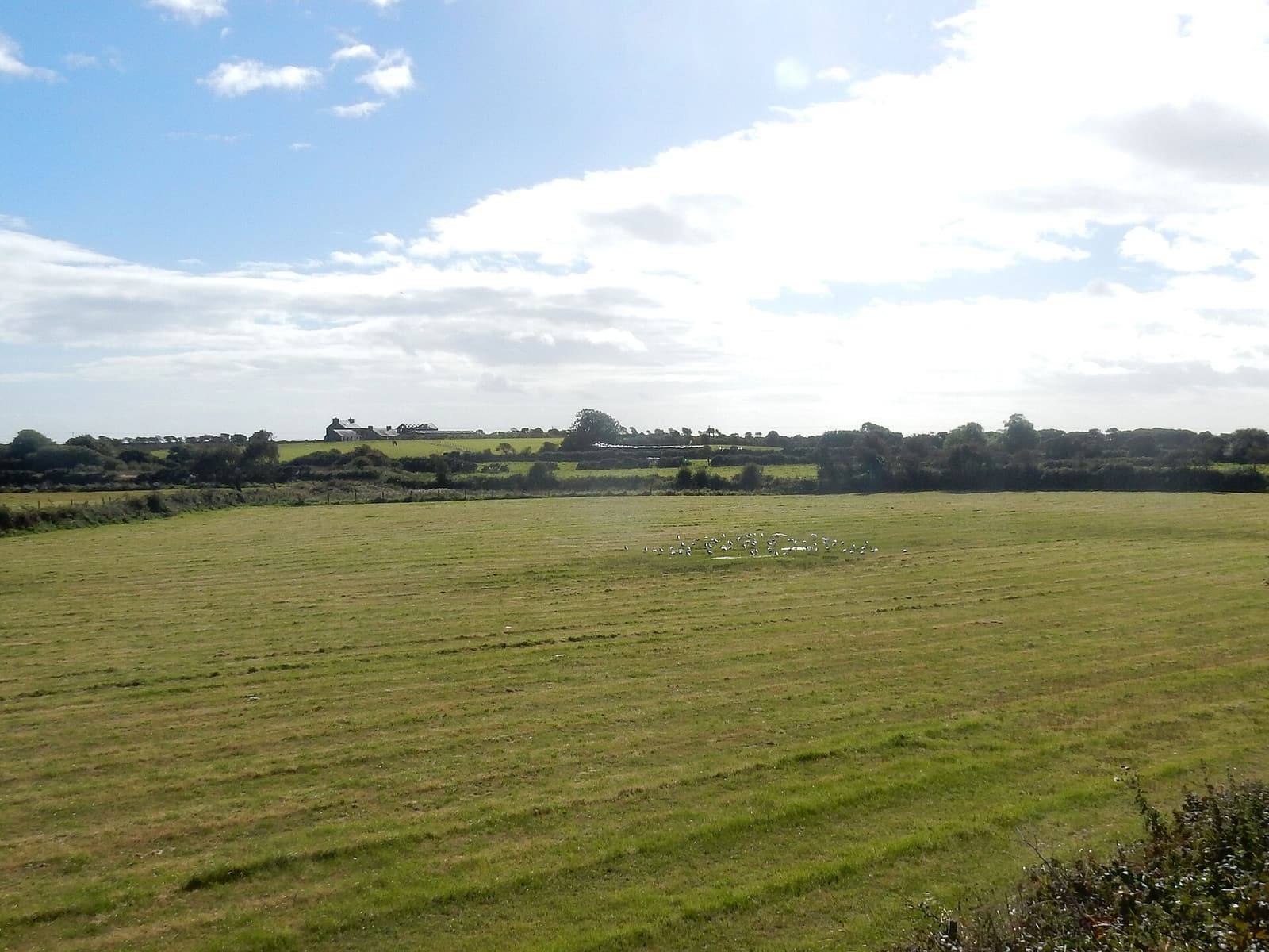 A wide green field in the south of the island under a big blue sky with white clouds, hedges and trees on the horizon.