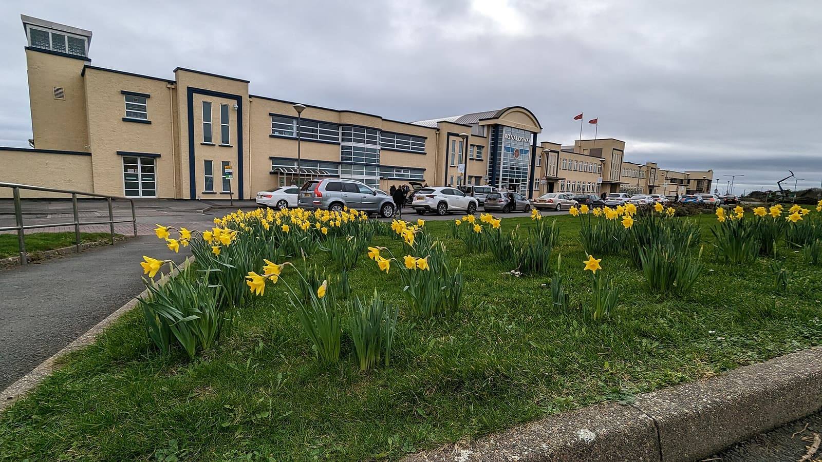 The pale terminal building at Ronaldsway Airport with daffodils on the grass bank in front.