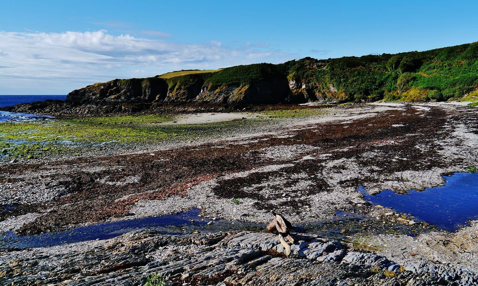A rocky beach at Santon with seaweed-covered rocks and pools at low tide, low green cliffs and a blue sea behind.
